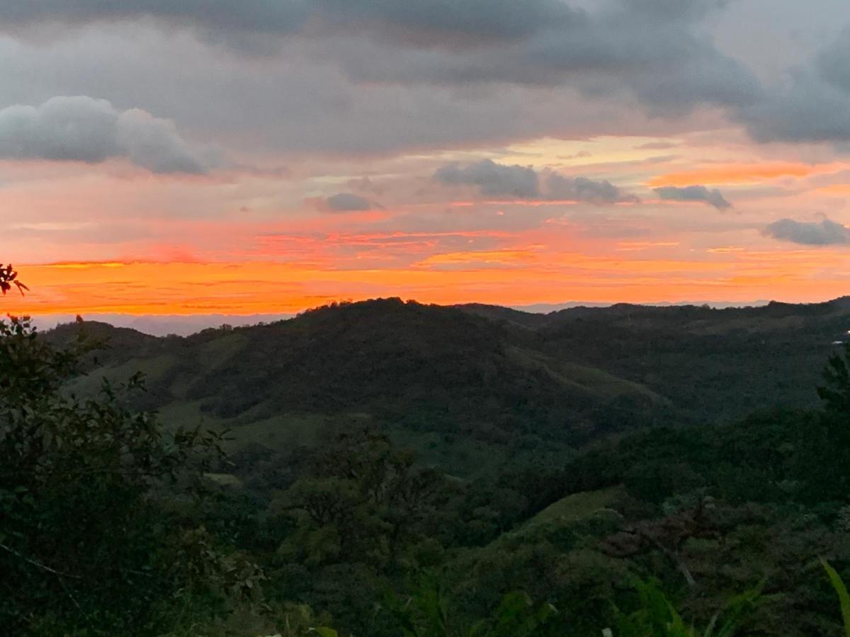 Globi Lodge #2 Monteverde Kültér fotó